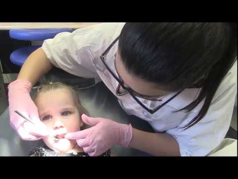 Dental Health Check for Kids