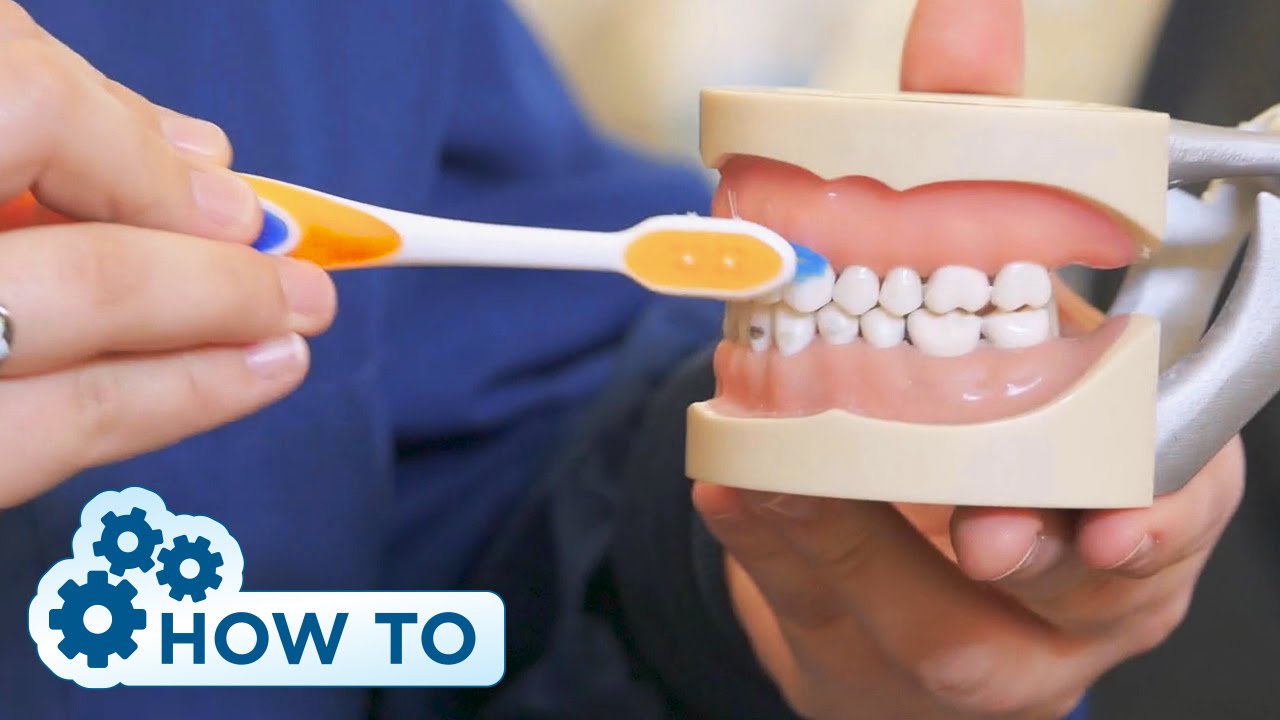 How To Brush Your Teeth | Dental Hygiene