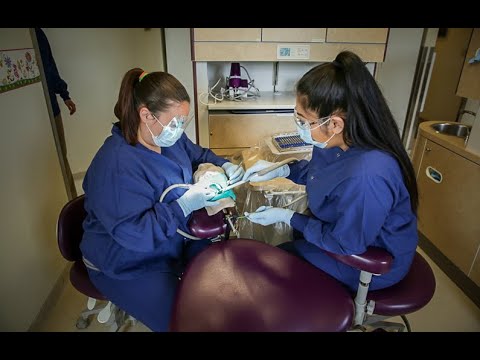 Service With A Smile: Alaska's solution for America's Dental Health Care Crisis | WorkingNation