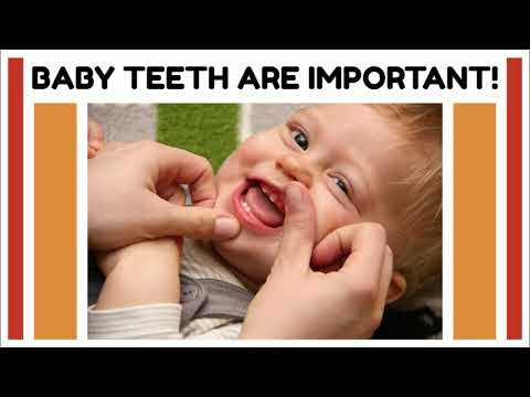 Oral Health During Pregnancy and Infant Care