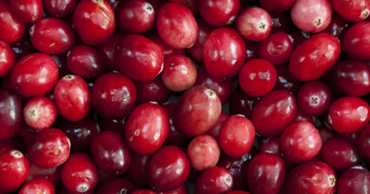 Cranberries and blueberries – why certain fruit extracts could provide the key to fighting tooth decay